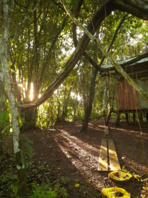 Homestay Oropendola tambopata
